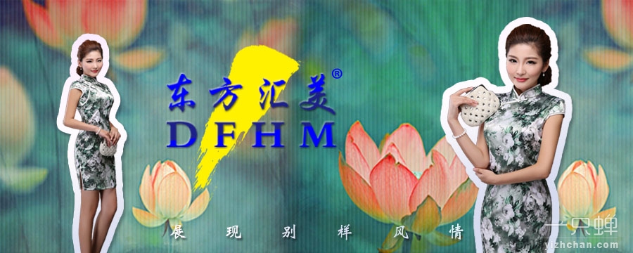 东方汇美;DFHM商标