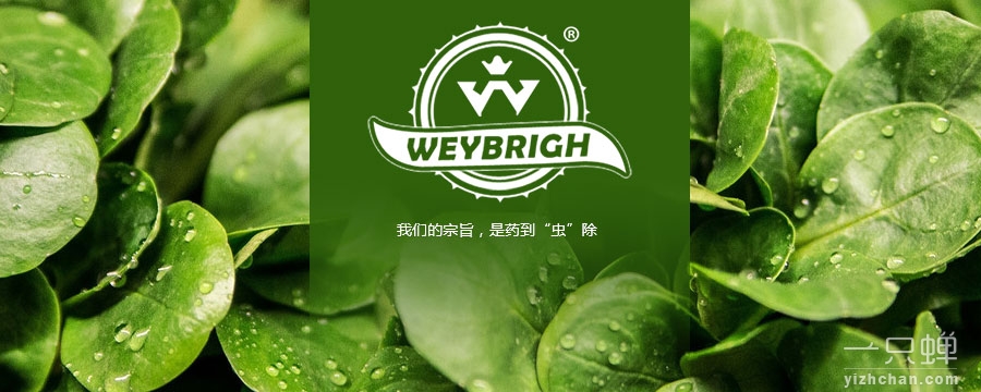 威泊瑞治 WEYBRICH W商标